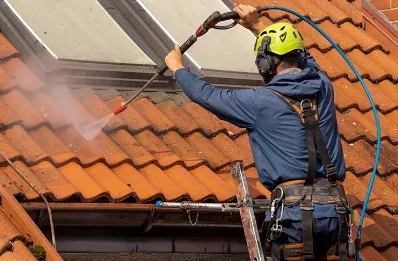 Démoussage et hydrofuge de toiture à Darvoy